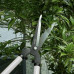 Ručné záhradnícke nožnice, Iso 21069