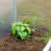 Transparentný mini skleník, RD22823