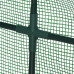 Fóliovník s 2 oknami, zelený RD35680