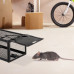 Pasca na potkany, čierna RD25390