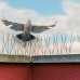 Ochranné hroty na odplašenie holubov, RD46990, 6 ks